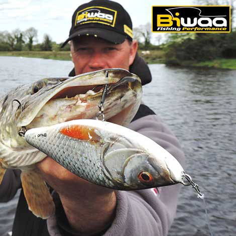 Tous les leurres Biwaa