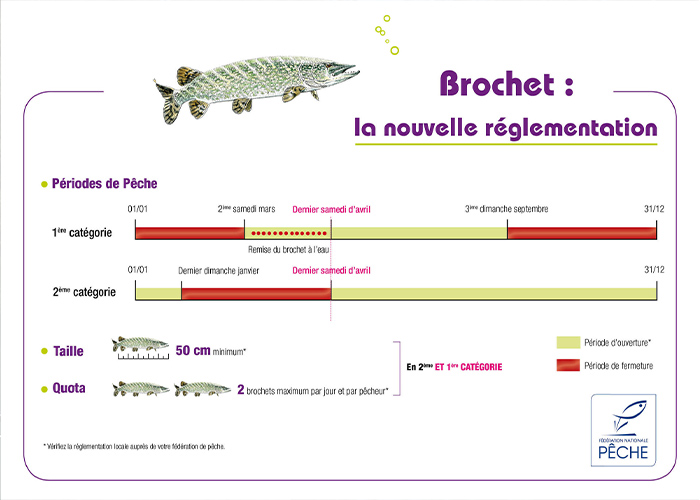 Nouvelle réglementation pour la pêche du brochet 