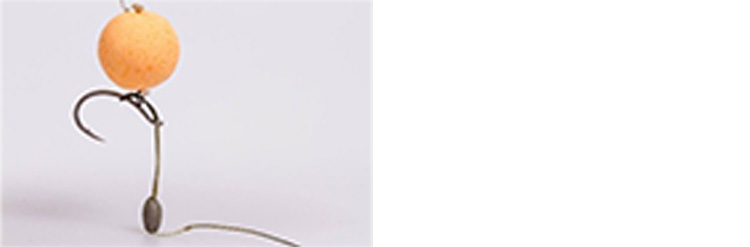 Finalisation du montage D-Rig Finalisation du montage D-Rig