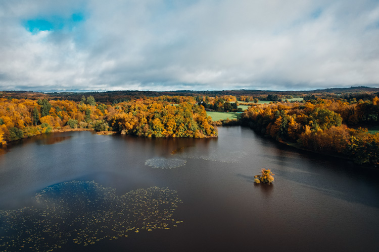 Où chercher le brochet en hiver