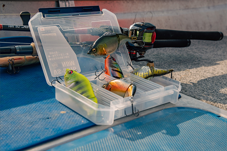 Trois mois de répit où l’utilisation de leurre est prohibé