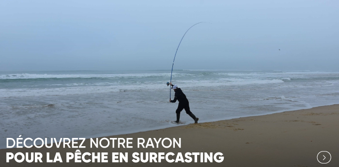 Peche en surfcasting