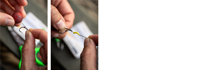 Fixation de l’appât