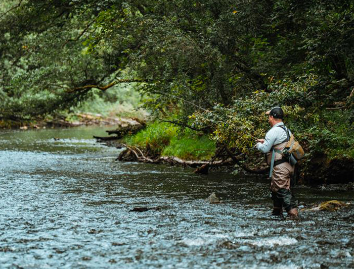 Pêche à la truite : guide débutant