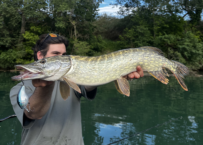 Pêche du brochet pour l’ouverture