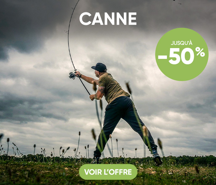 Canne f&ecirc;te de la carpe