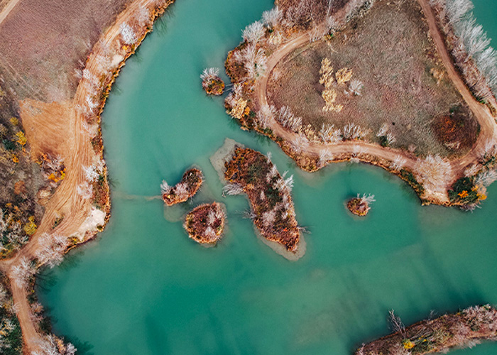 P&ecirc;che de la carpe au coup