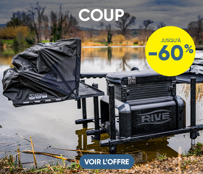 Coup