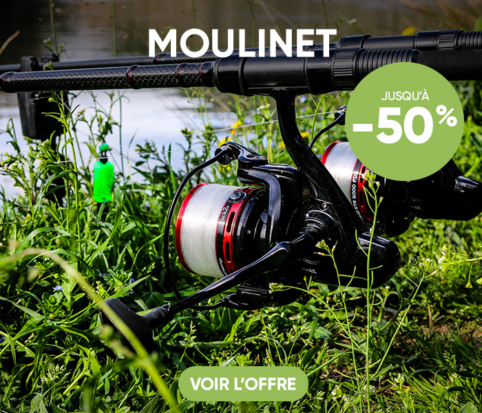 Moulinet f&ecirc;te de la carpe