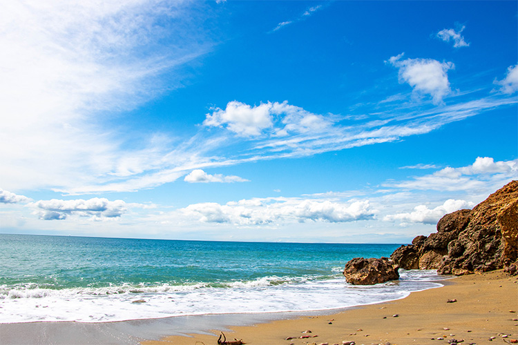 Guide des tailles légales de pêche en Méditerranée et Atlantique