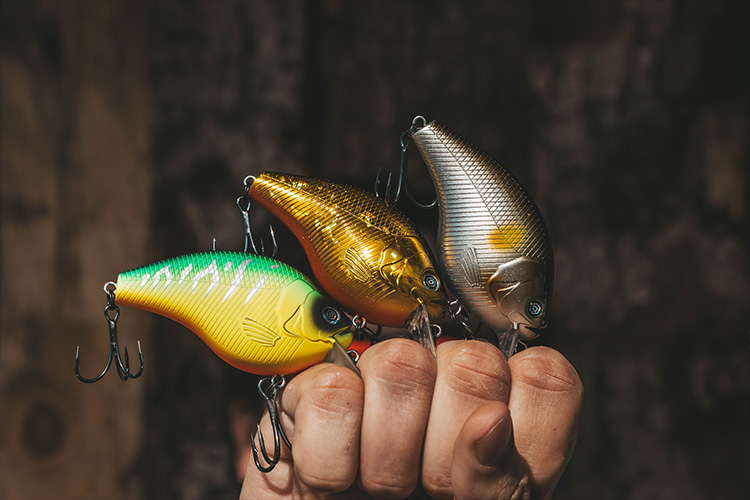 Les leurres durs pour la pêche du carnassier