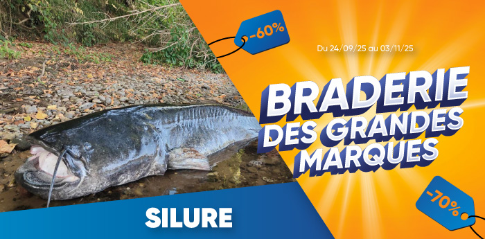 offre silure 