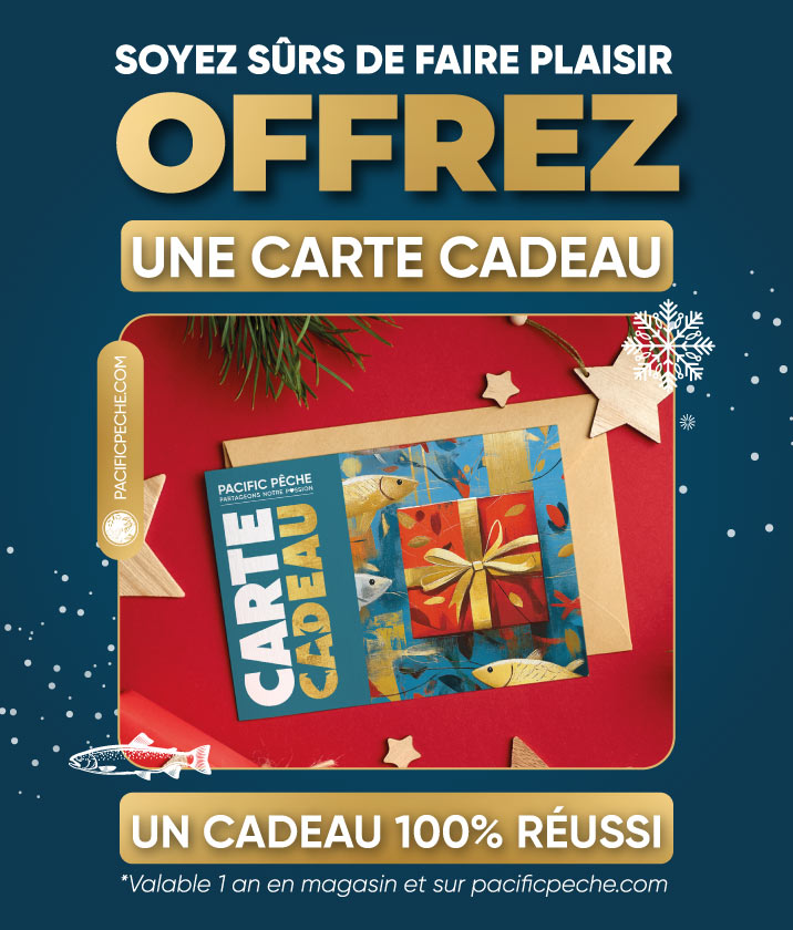 Carte cadeau - Noël