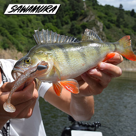 Tous les leurres Sawamura