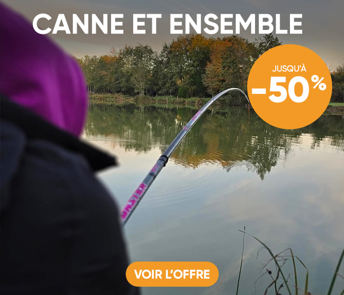 Canne et ensemble