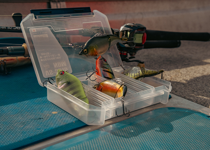 Fenêtre de pêche au lever et au coucher du soleil