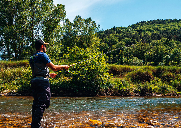 Pêche de la truite en rivière