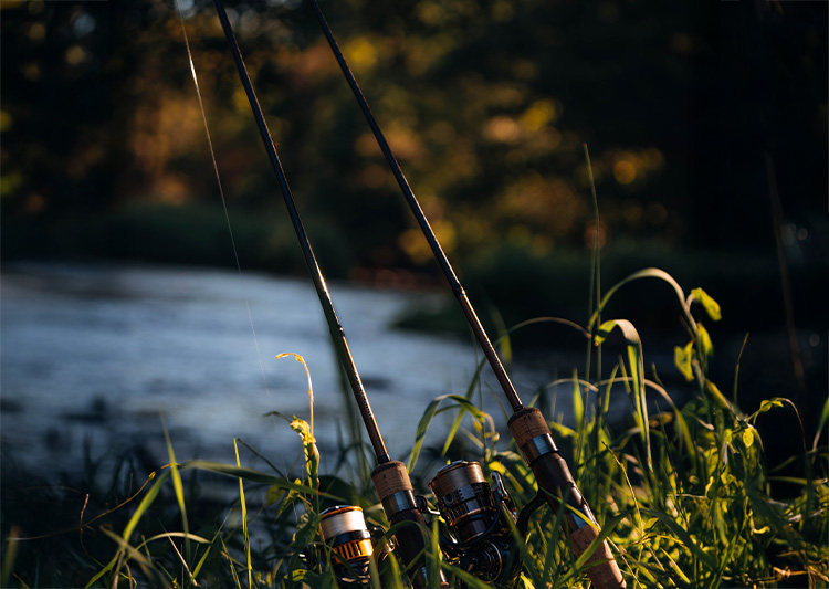 Canne à pêche posée en bord de rivière