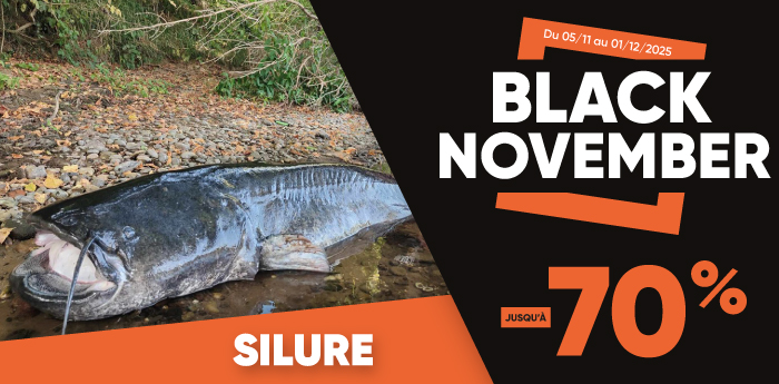 Black Friday Silure