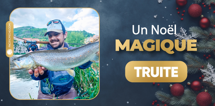 Noël Truite