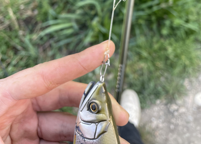 Vérifiez votre bas de ligne après chaque prise pour éviter tout risque de coupe ! 