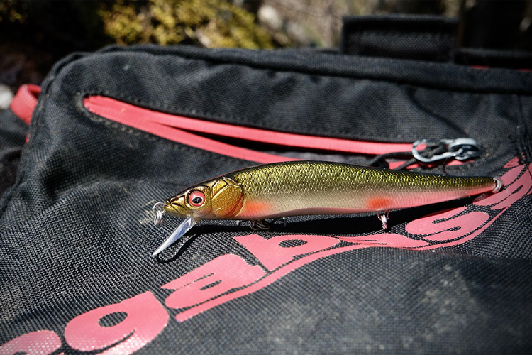 Référence iconique, le vision de chez Megabass reste dans toutes ses déclinaisons un outil formidable pour les pêches en eau froide