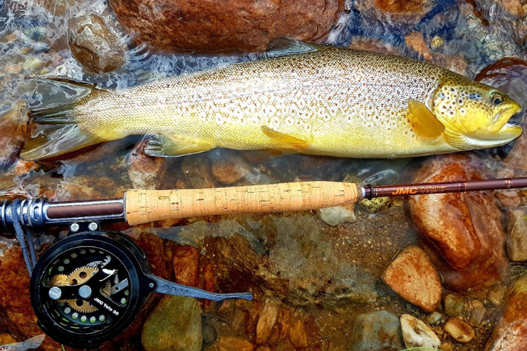 La pêche à la mouche Conseils I Pacific Pêche