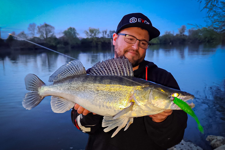 Pêche d’un sandre