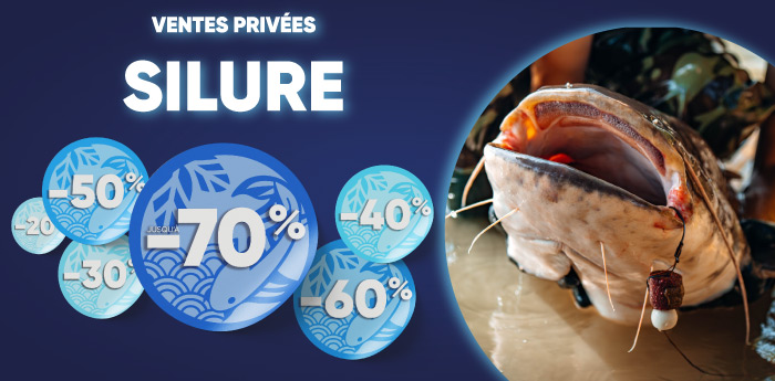 ventes priv&eacute;es silure 