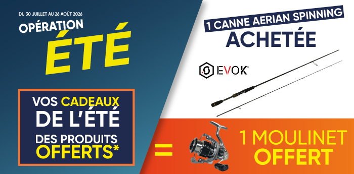 1 canne aerian spinning achet&eacute;e = 1 moulinet offert