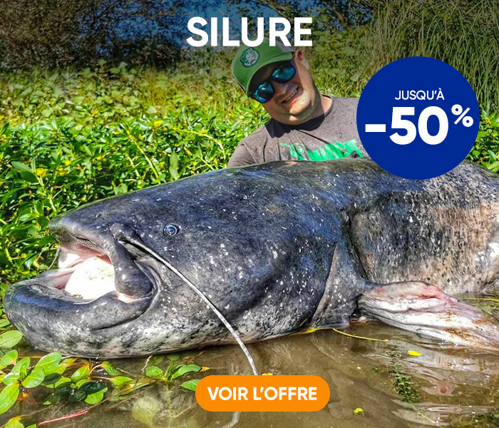 Offre &eacute;t&eacute; Silure jusqu'&agrave; -50%