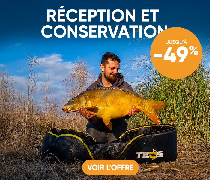 Reception et conservation