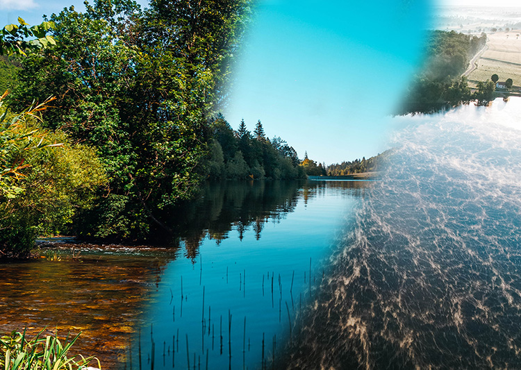 Zones de pêche de la truite 