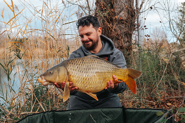 Capture d’une carpe lors d’une session hivernale