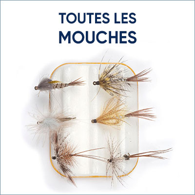 Toutes les mouches