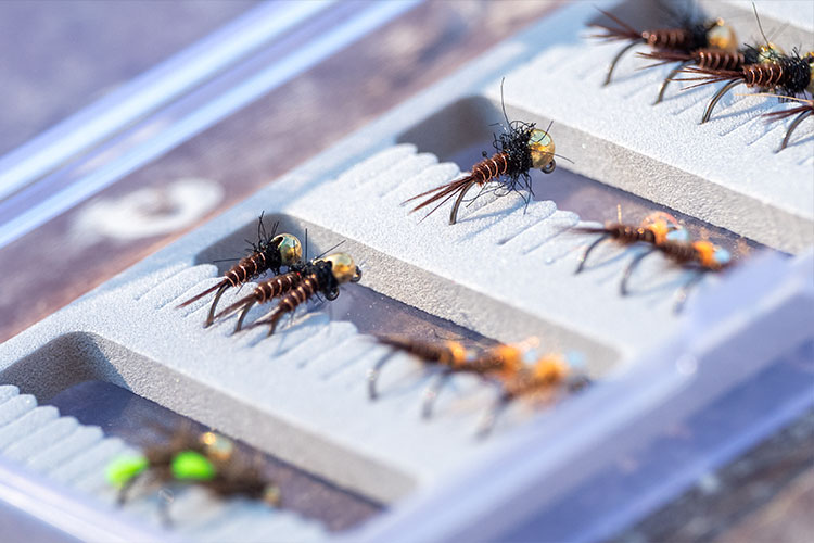 Choix de la longueur de point de la nymphe au fil