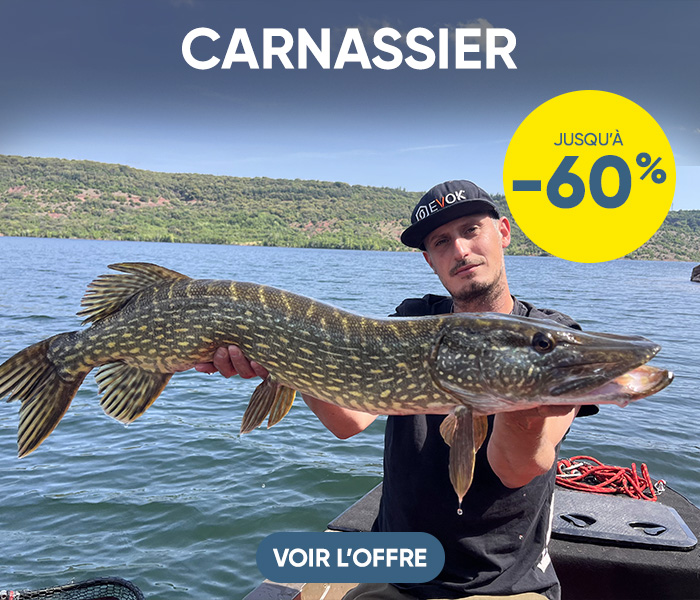 Carnassier