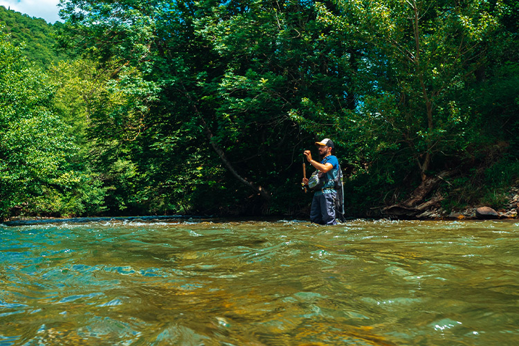 Équipement pour la pêche à la truite