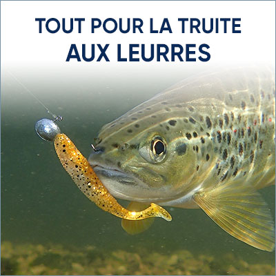 Truite au leurre