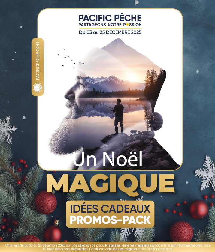 Offre de Noël 