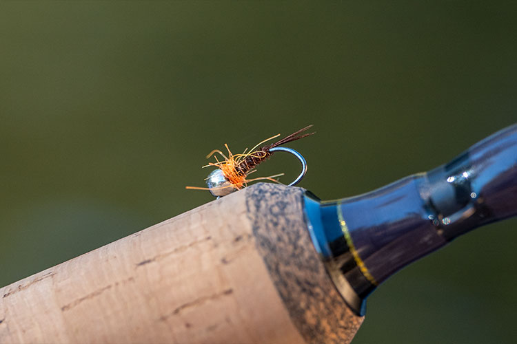 Nymphe au fil sur canne à pêche