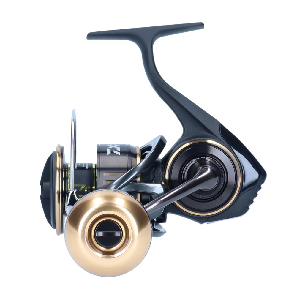 Moulinet Daiwa BG SW 6000D P (7436) Neuf Spinning