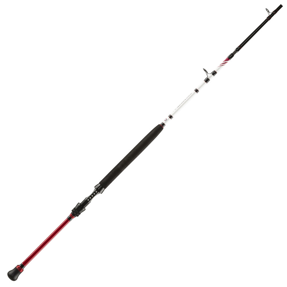 Penn Squadron II 2,10m/20lbs/5-teilig Voyage Bateau Rod Canne à Pêche