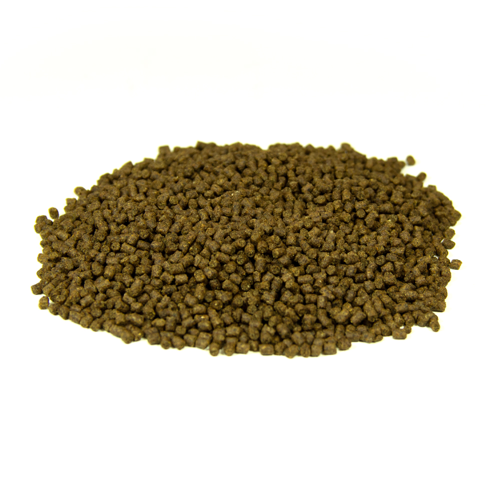 CO02981-BOITE DE PECHE.Bouchon de Micro appât pour la pêche à la carpe