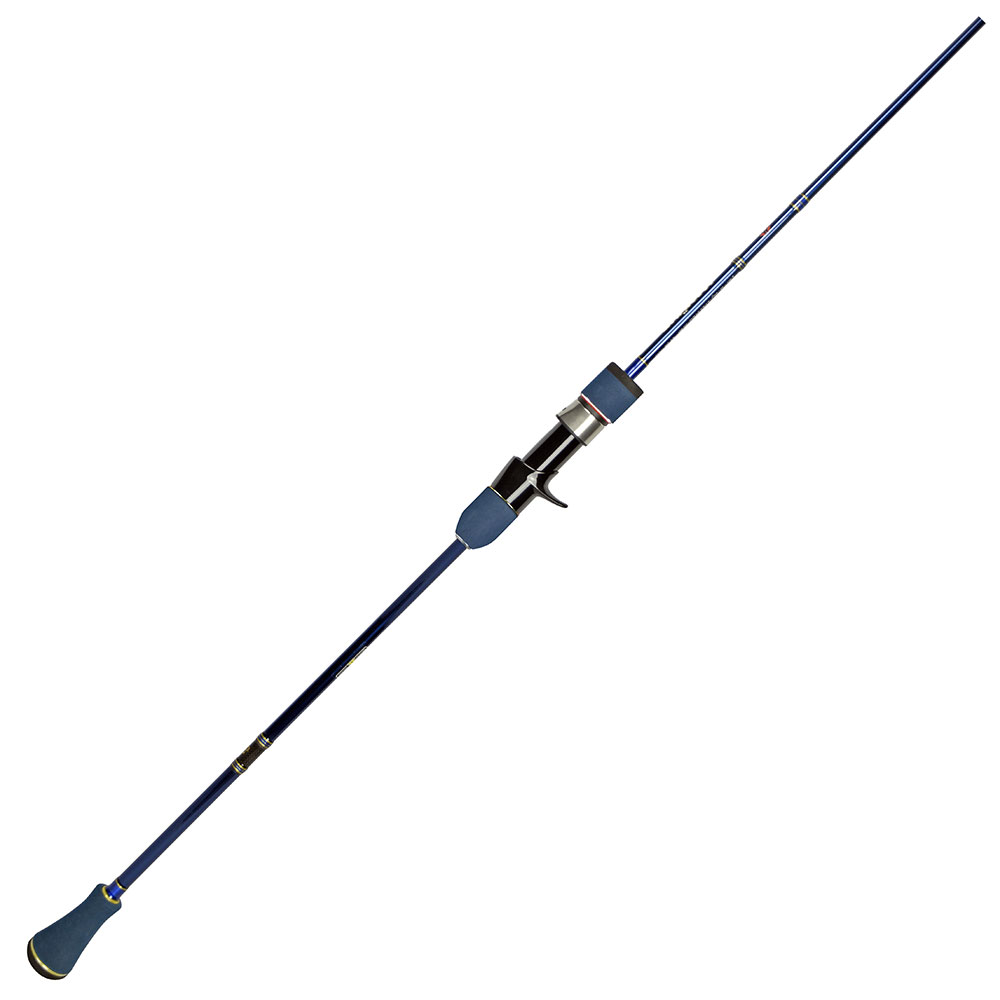 Jeu D'anneaux Fuji SIC K – PKLSG PKTSG, Pour Canne Casting/jigging, Acier Inox