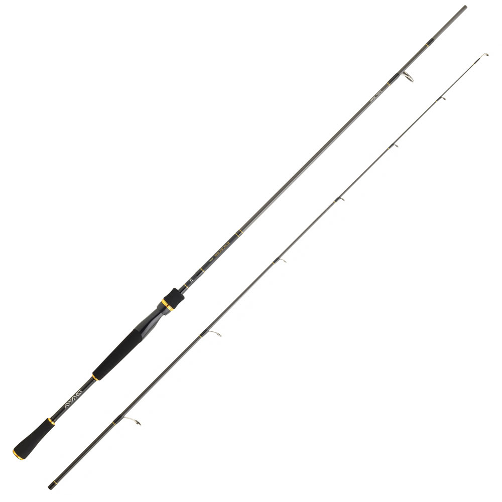 Canne à Pêche Daiwa Exceler Jiggerspin 1002L - 2 Brins, 3,05 M, Puissance 3-18 G - Action Rapide, Pour Jig Et Distance - 3